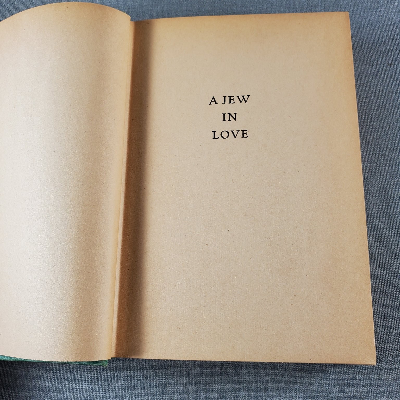 A Jew in Love Ben Hecht 1938 Eighth Edition Triangle Books