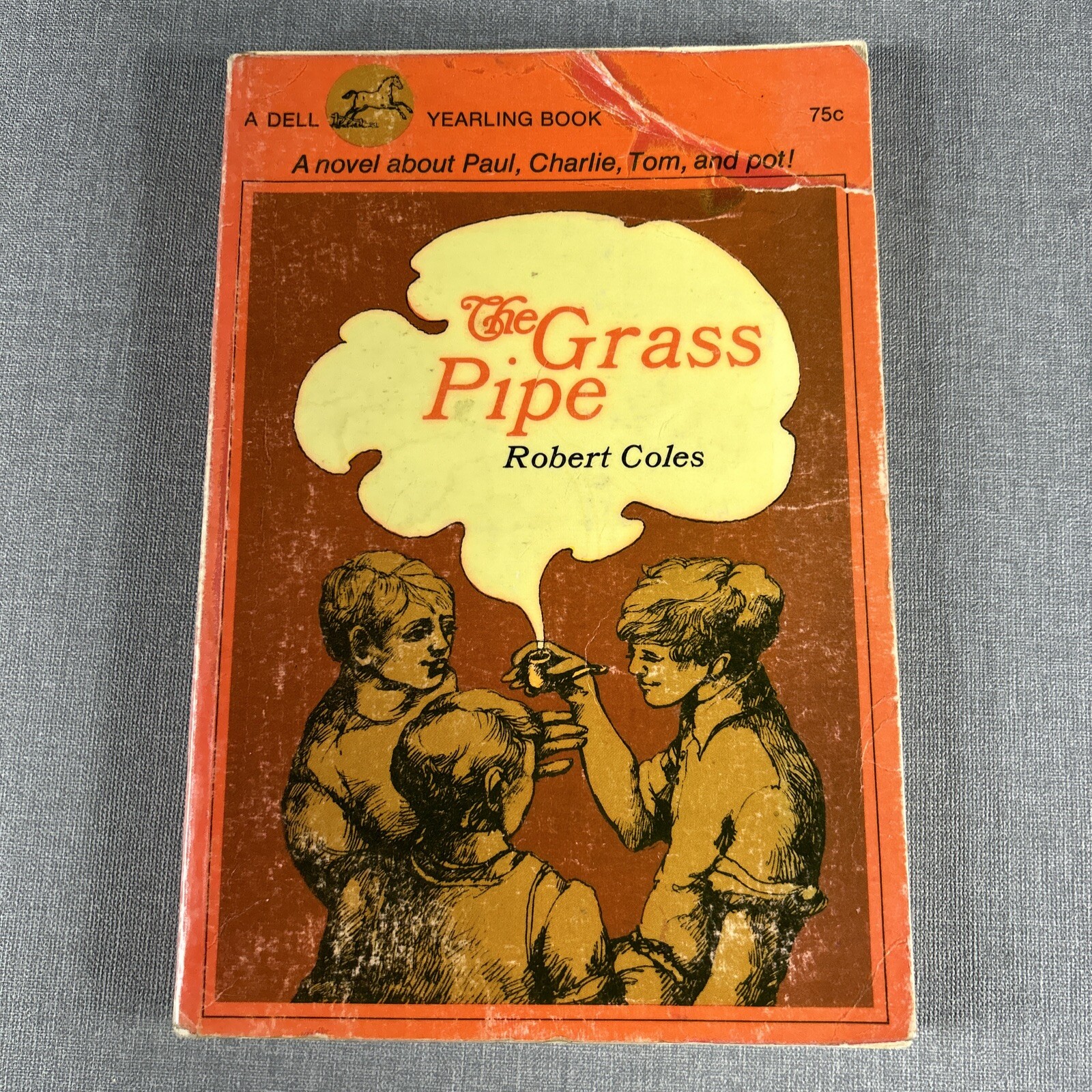 The Grass Pipe by Robert Coles 1972 Trade Paperback Marijuana Book Dell