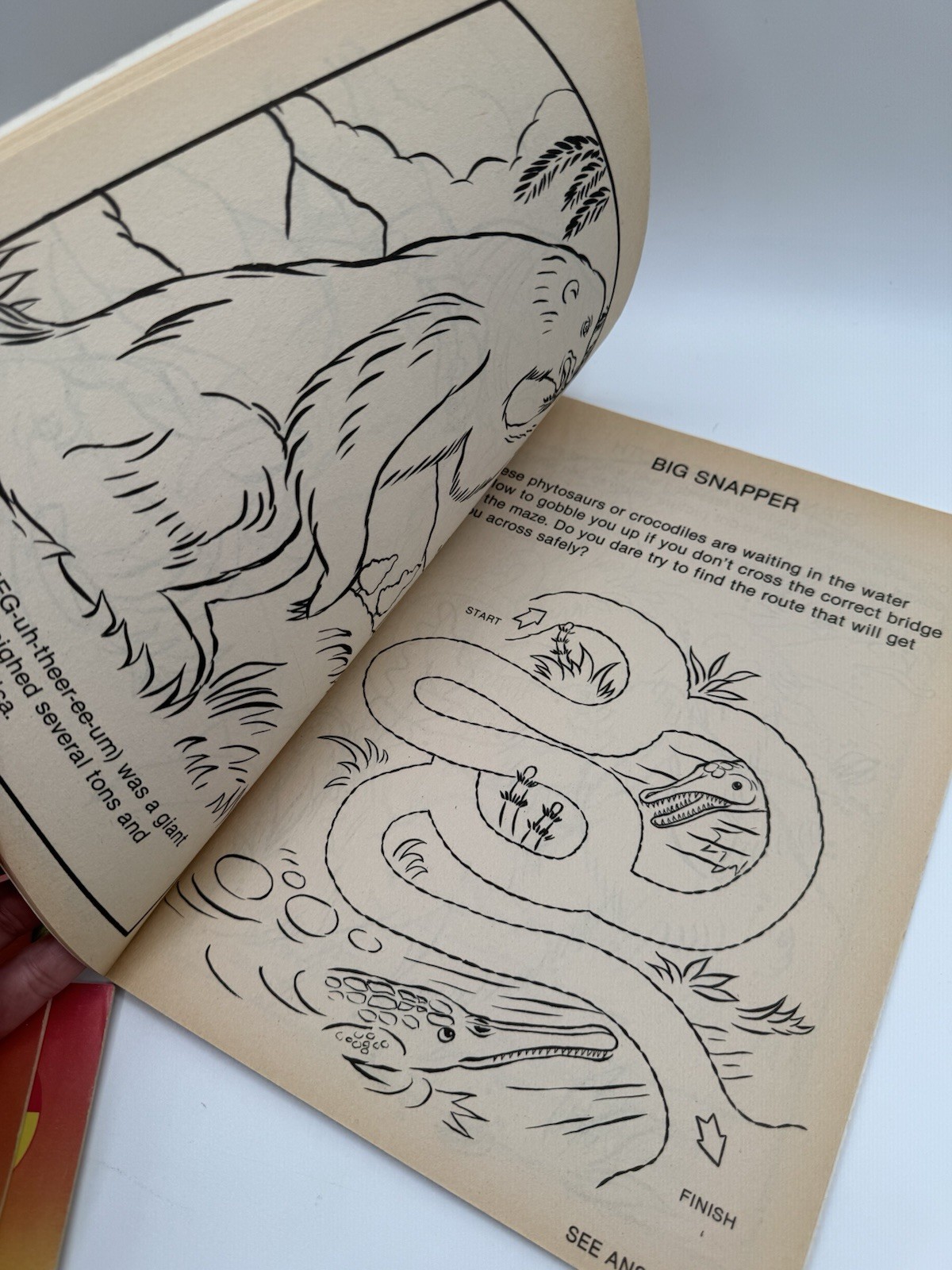 Vintage Lot of 5 DINOSAUR Coloring Books Most Unused But One Has Marks