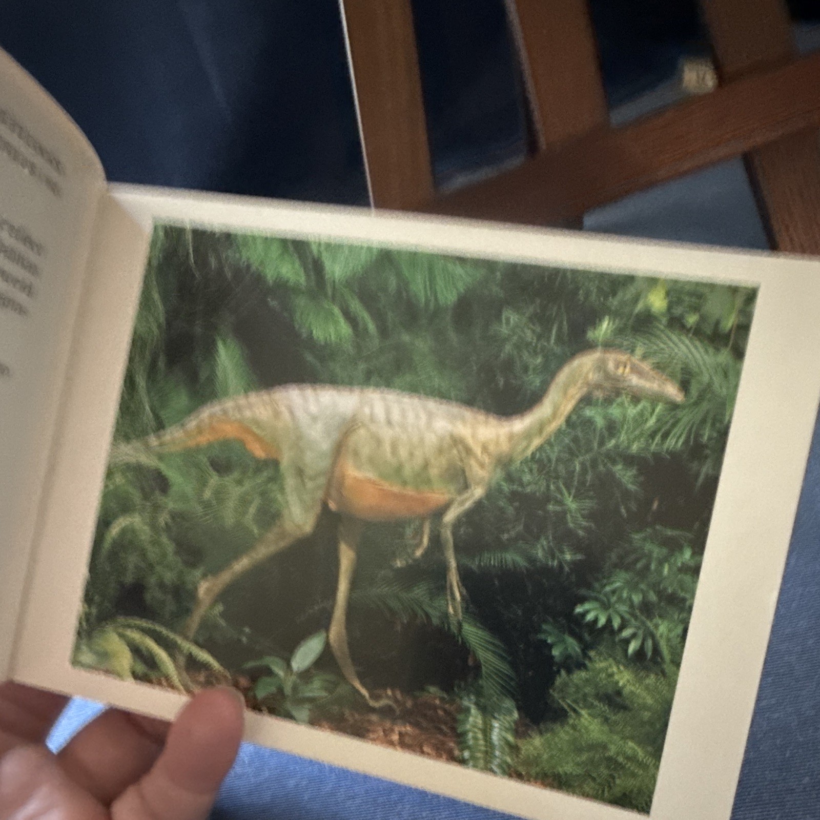 The Dinosaurs Postcard Book Framable Art Prints 1987 Toby Schmid Illus Hallett
