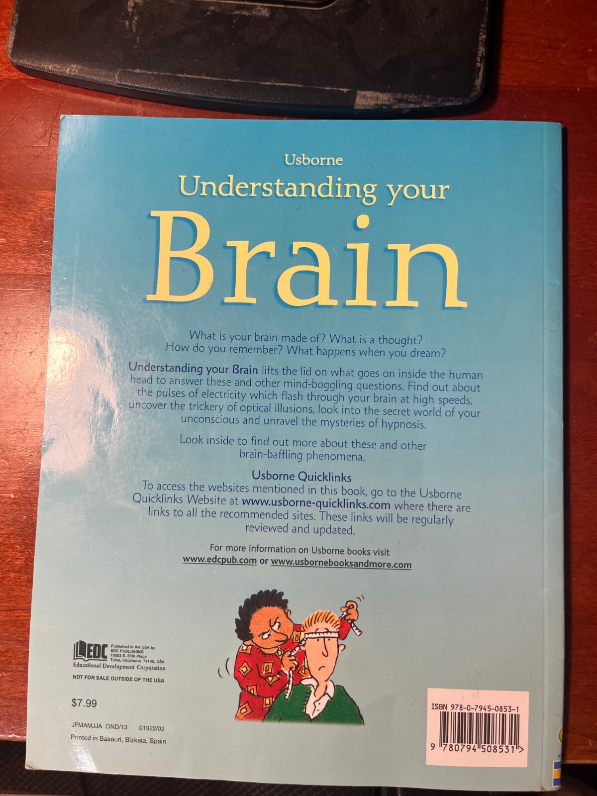 Understanding Your Brain – Internet Linked by Rebecca Treays (2004, Trade…