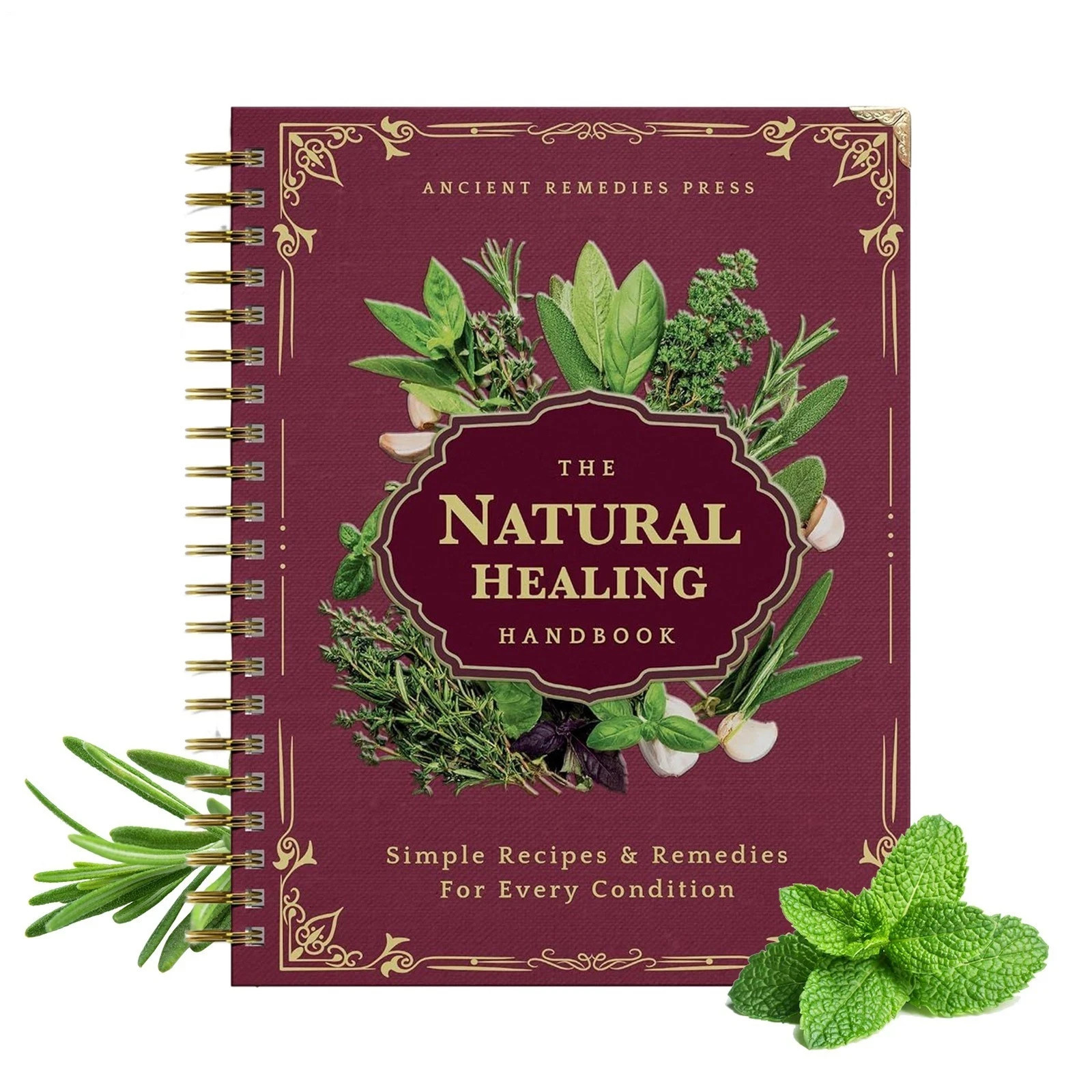 Natural Healing Handbook Spiral Bound Herbal Remedies Tea Recipes