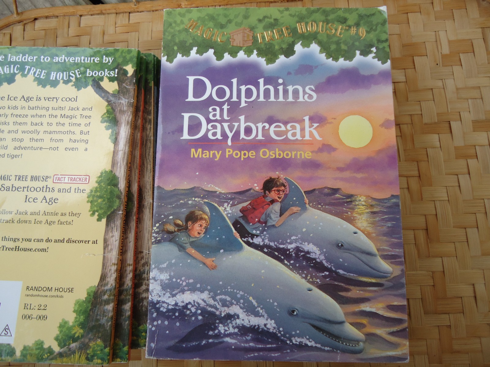 Magic Tree House Lot 11 Books Mostly PB No Repeats Childrens Historical Fiction