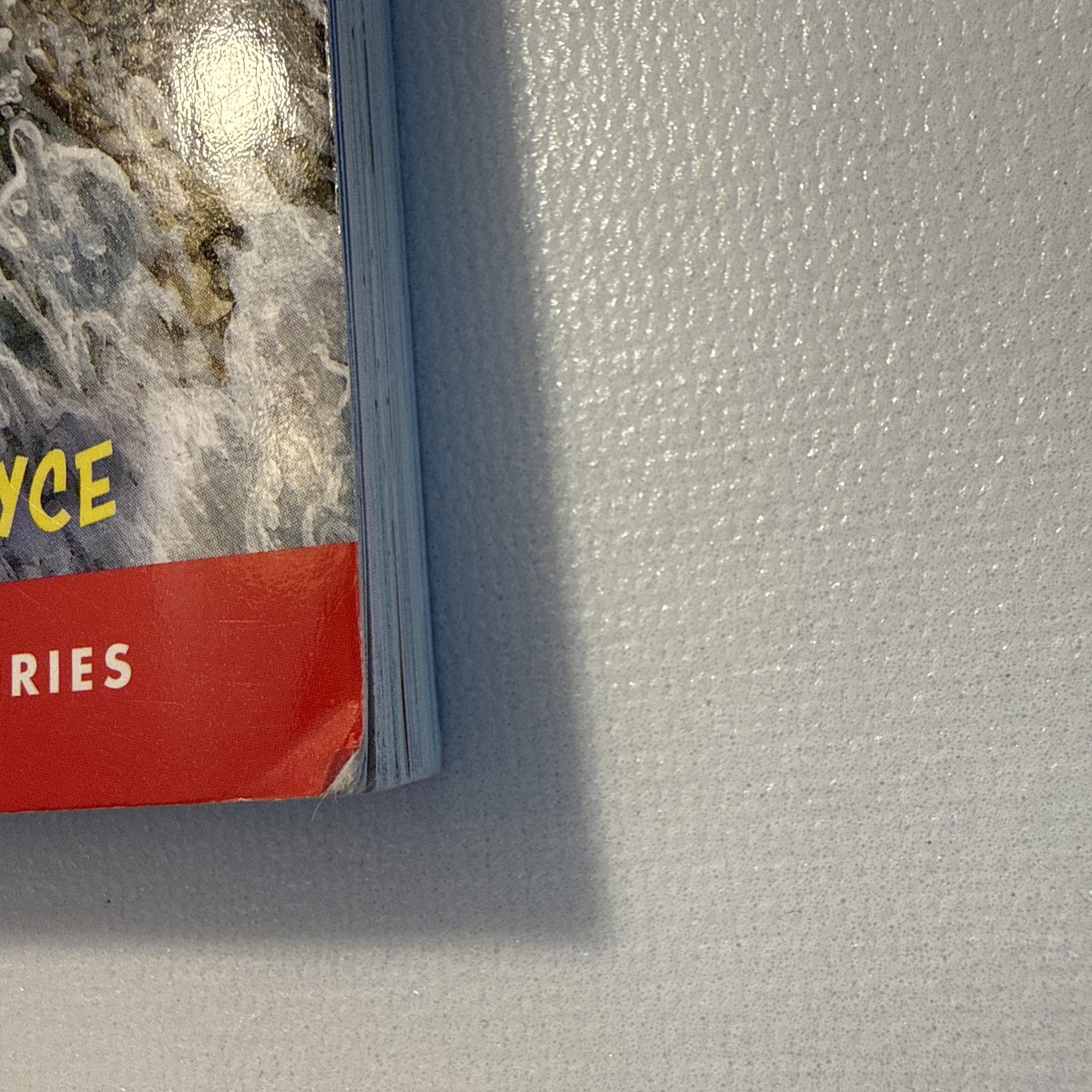 Magic Tree House Survival Guide by Natalie Pope Boyce and Mary Pope Osborne…