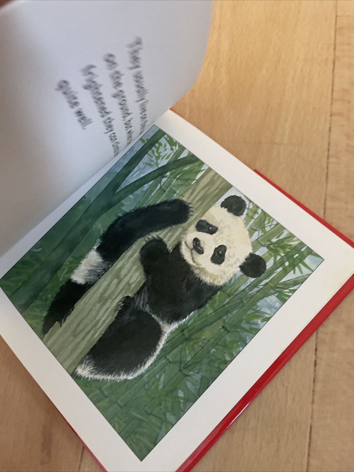 LONGMAN. HELLO PANDA. 17 BY 17CM. HARDCOVER WJACKET 058239077X