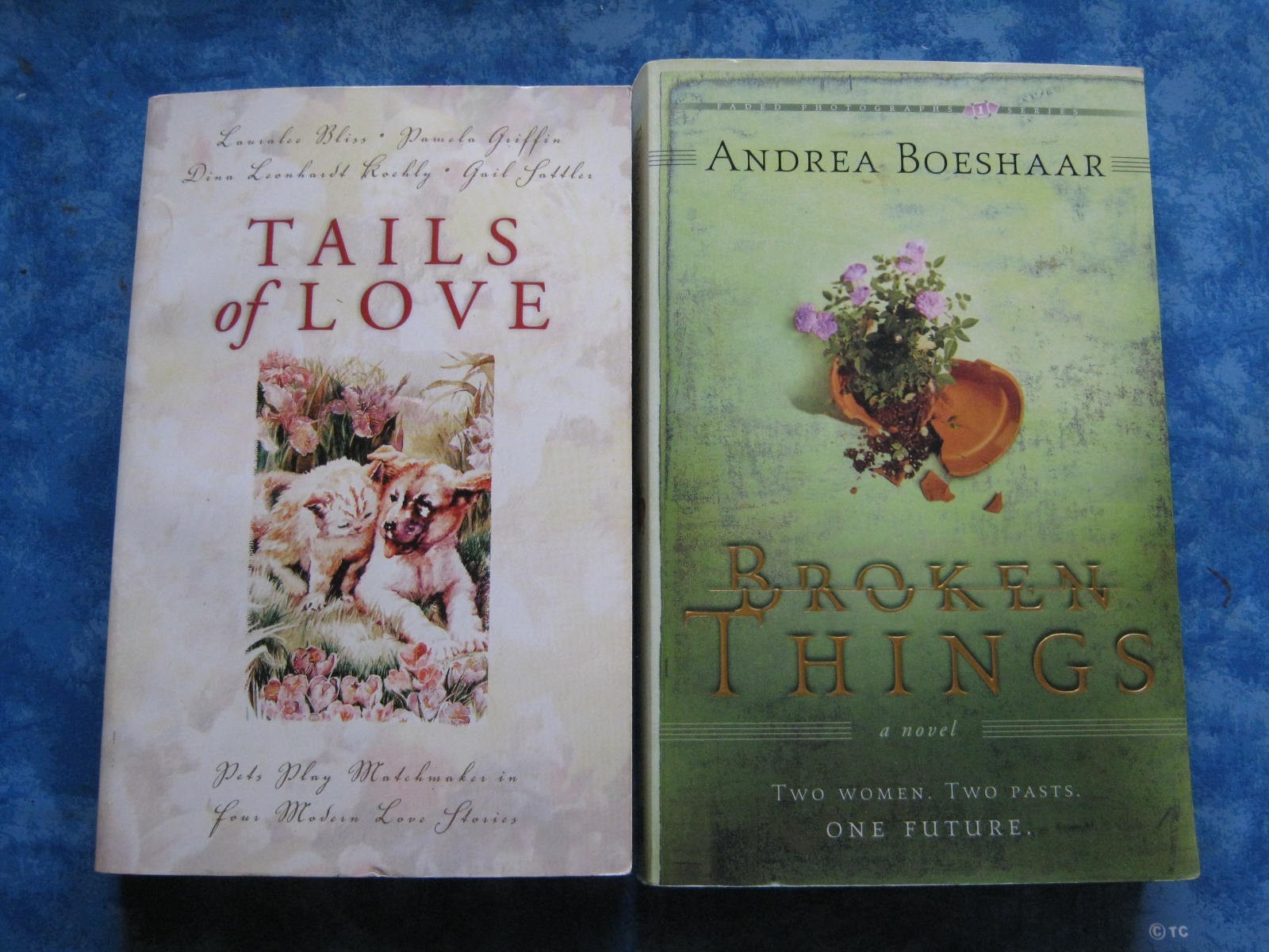 LOT OF 6 INSPIRATIONAL ROMANCE SC Tails of Love ON THIS DAY North Star Brides