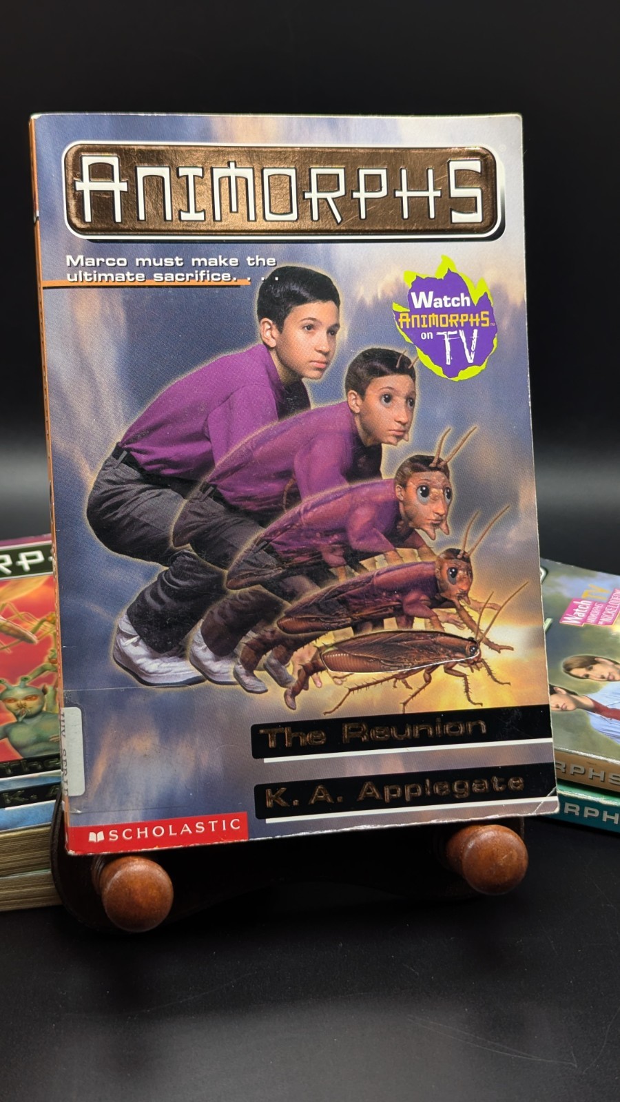 Lot Of 5 Animorphs Novels By K.A. Applegate Paperback Vintage 1990’s