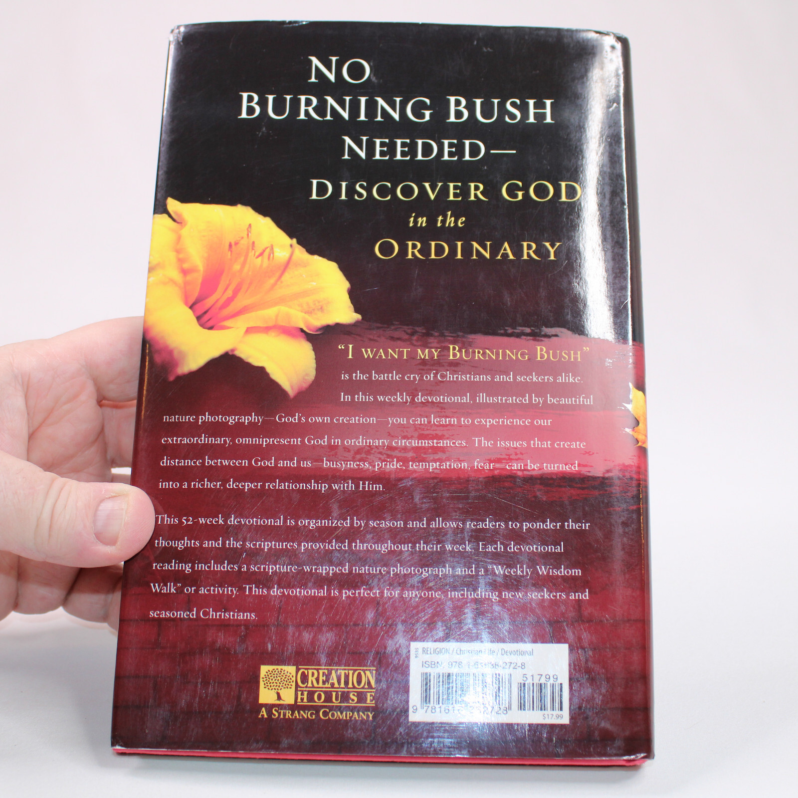 SIGNED No Burning Bushes Discovering God In The Ordinary Hardcover Kathy Marotta