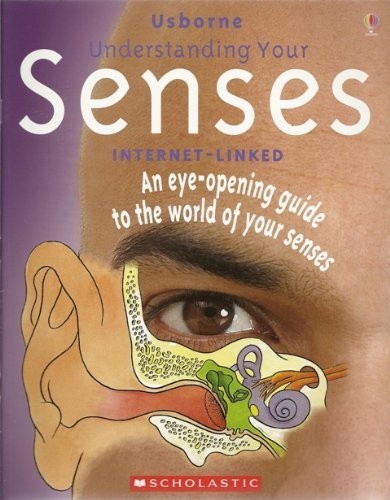 Understanding Your Senses – paperback Rebecca Treays