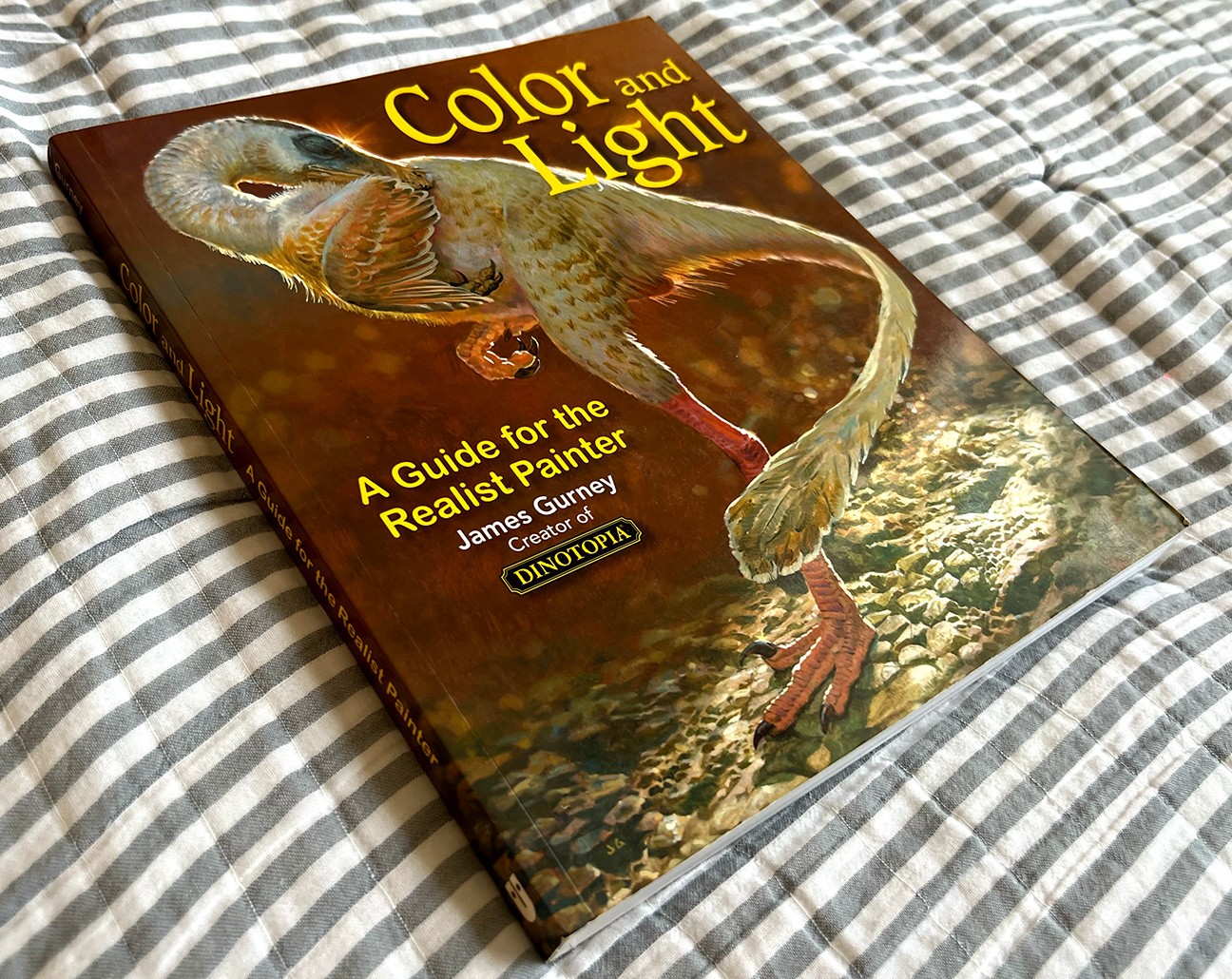 Color and Light: A Guide for the Realist Painter Softcover JAMES GURNEY Preowned