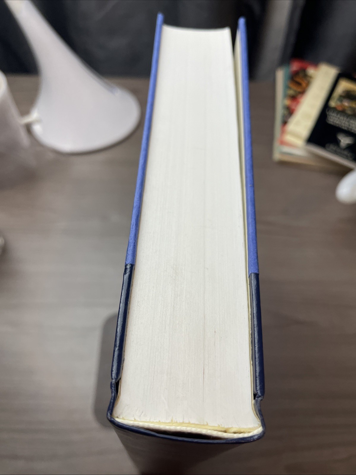 Between The Raindrops-The National Library of Poetry-Nicole Walstrum Editor