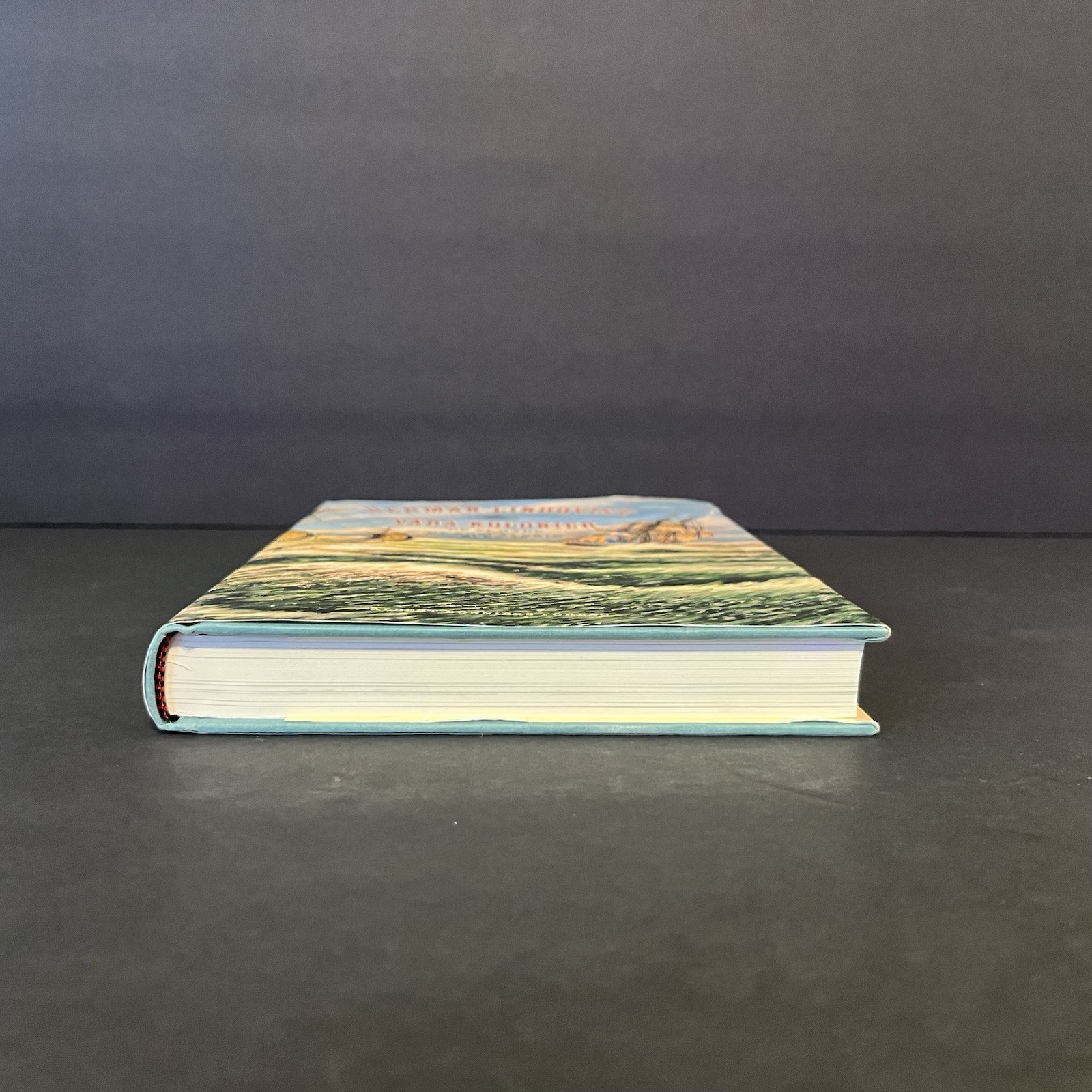 Vara Kolonier Book Hardcover Swedish Edition Herman Lindqvist 2015
