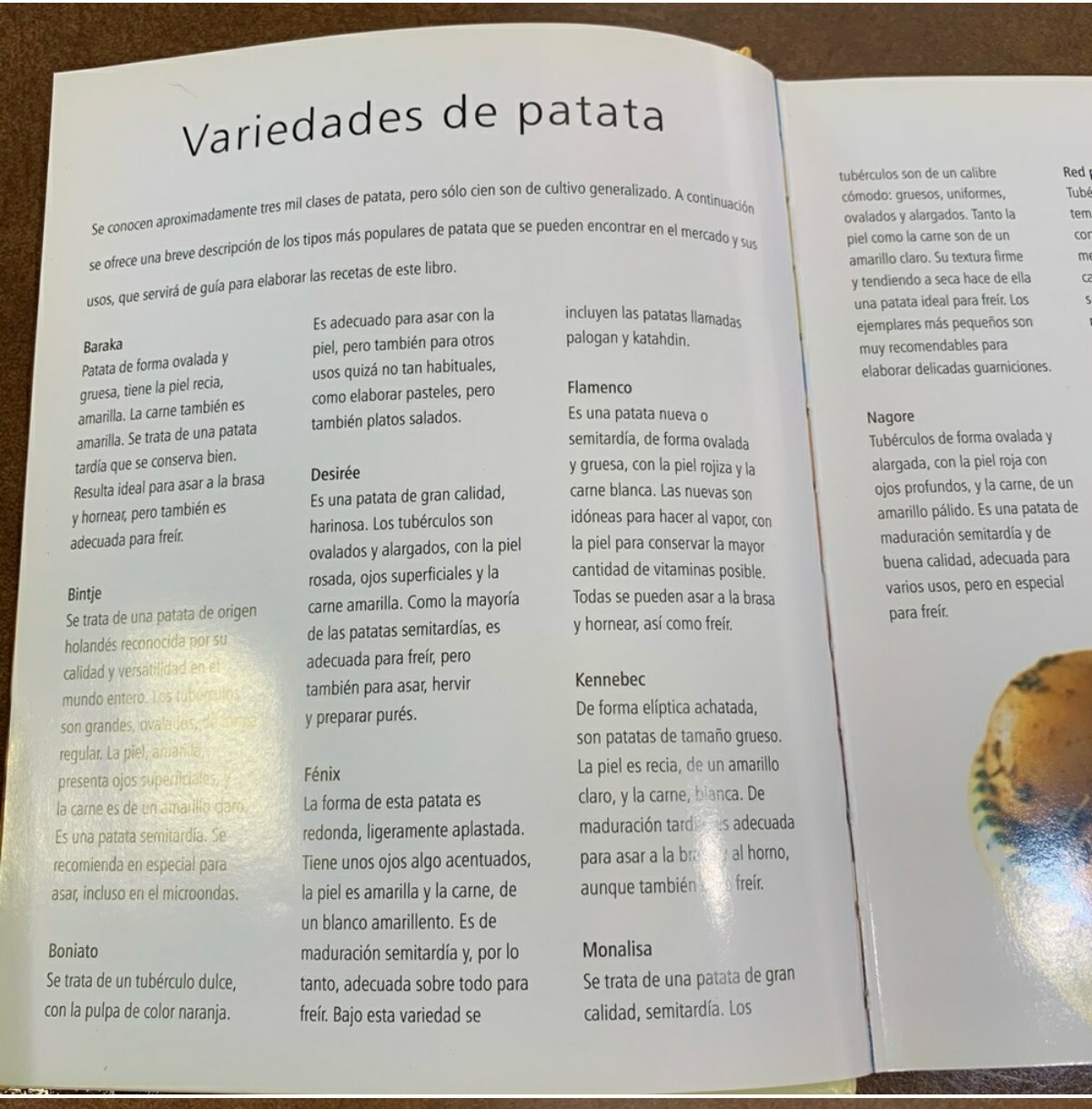La mejor cocina PATATAS.Spanish book 254 pages.