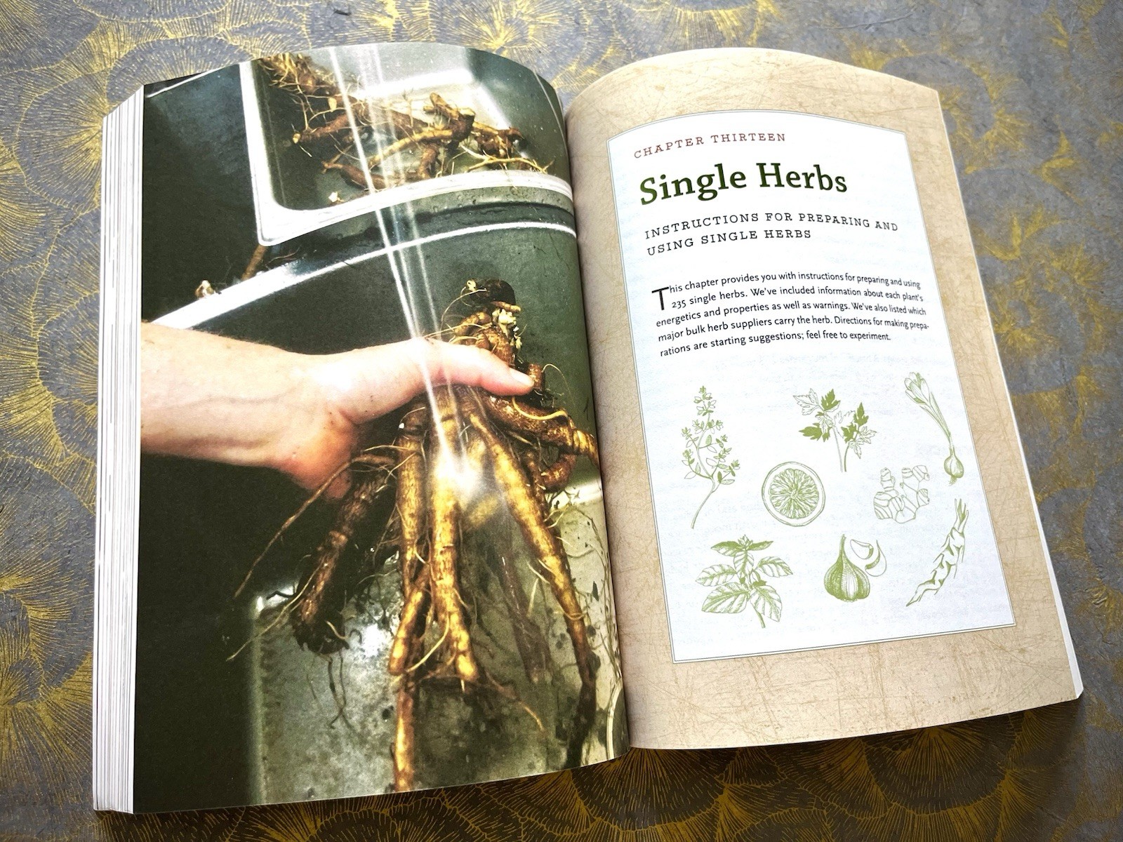 THE MODERN HERBAL DISPENSATORY A MEDICINE MAKING GUIDE EASLEY/HORNE BOTANICAL PB