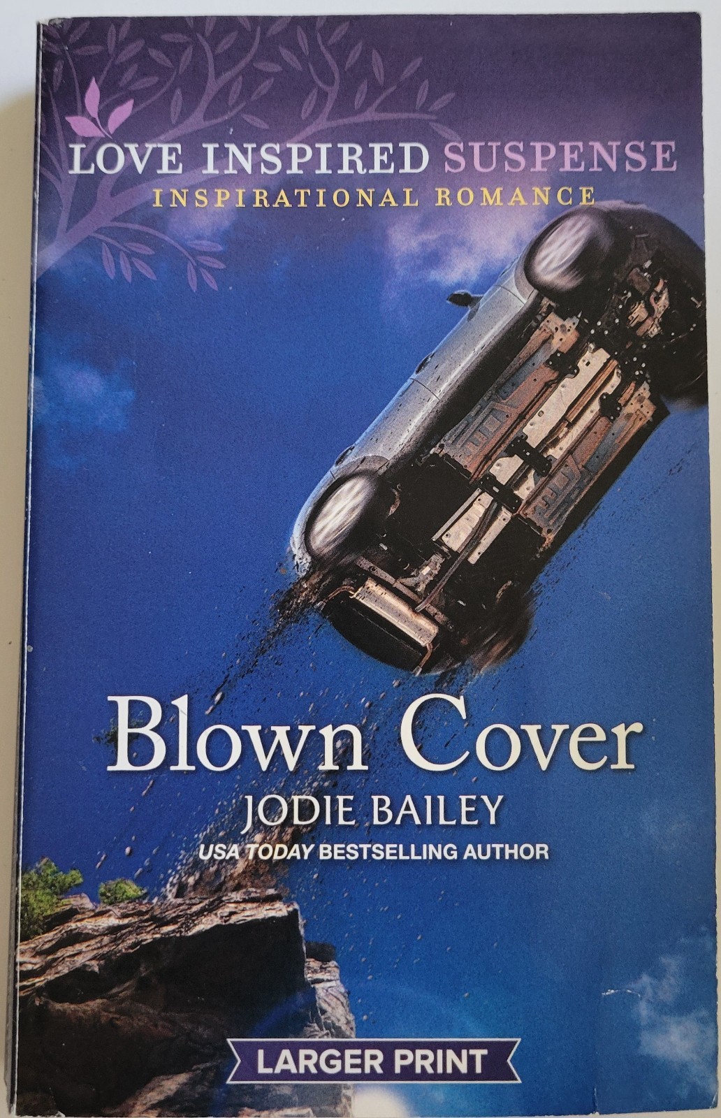 Blown Cover by Jodie Bailey (2022, Mass Market) Large Print