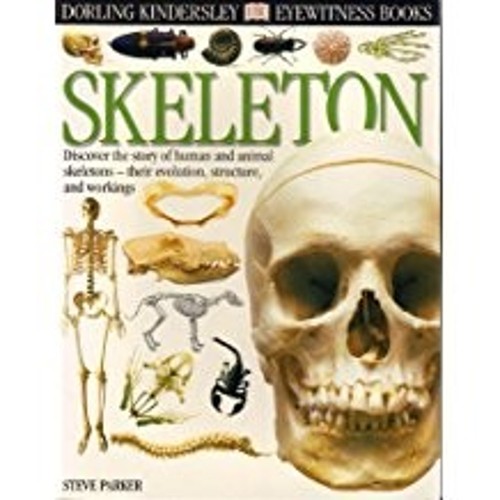 Skeleton Dorling Kindersley Eyewitness Books Steve Parker