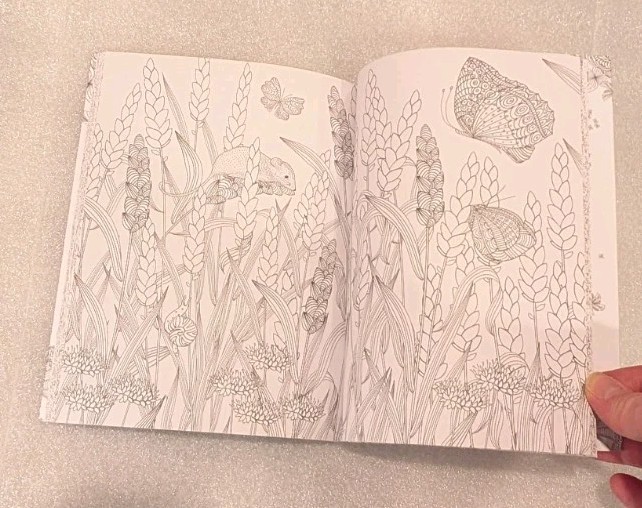 New! Blossoms And Butterflies, Color Your World (Jane Heyes) intricate coloring