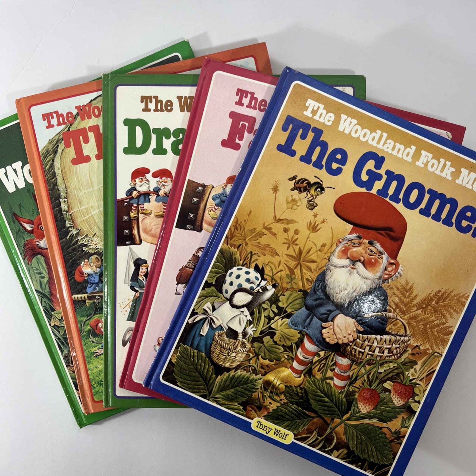 Set of 5 – The Woodland Folk Books – Gnomes Elves Fairies Dragons – Tony Wolf