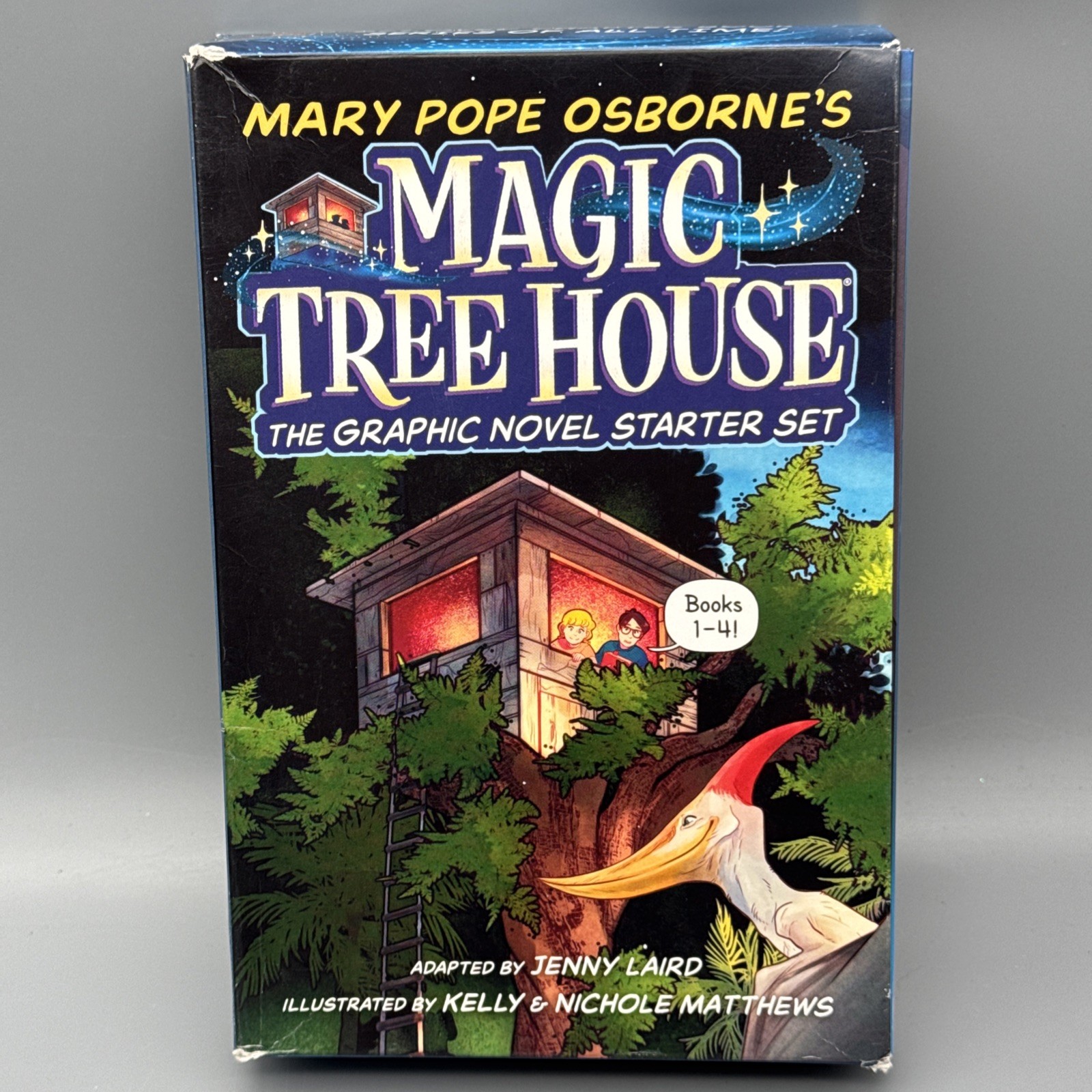 Magic Tree House Graphic Novel Starter Set A Graphic Novel Boxed Set Books 1-4