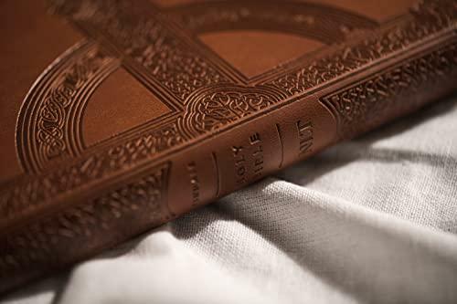 NLT Large Print Premium Value Thinline Bible, Filament Enabled Edition