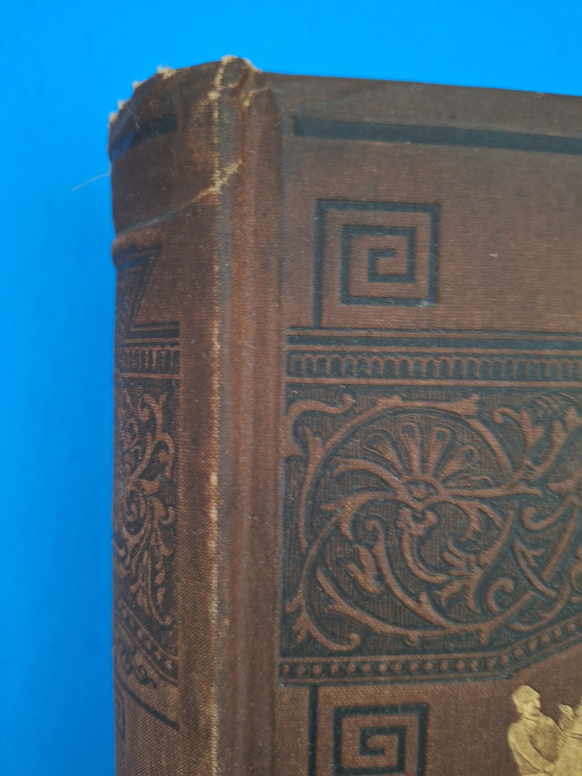 RARE c 1882 THE HORSE IN MOTION by J.D.B. Stillman Photos By Eadweard Muybridge