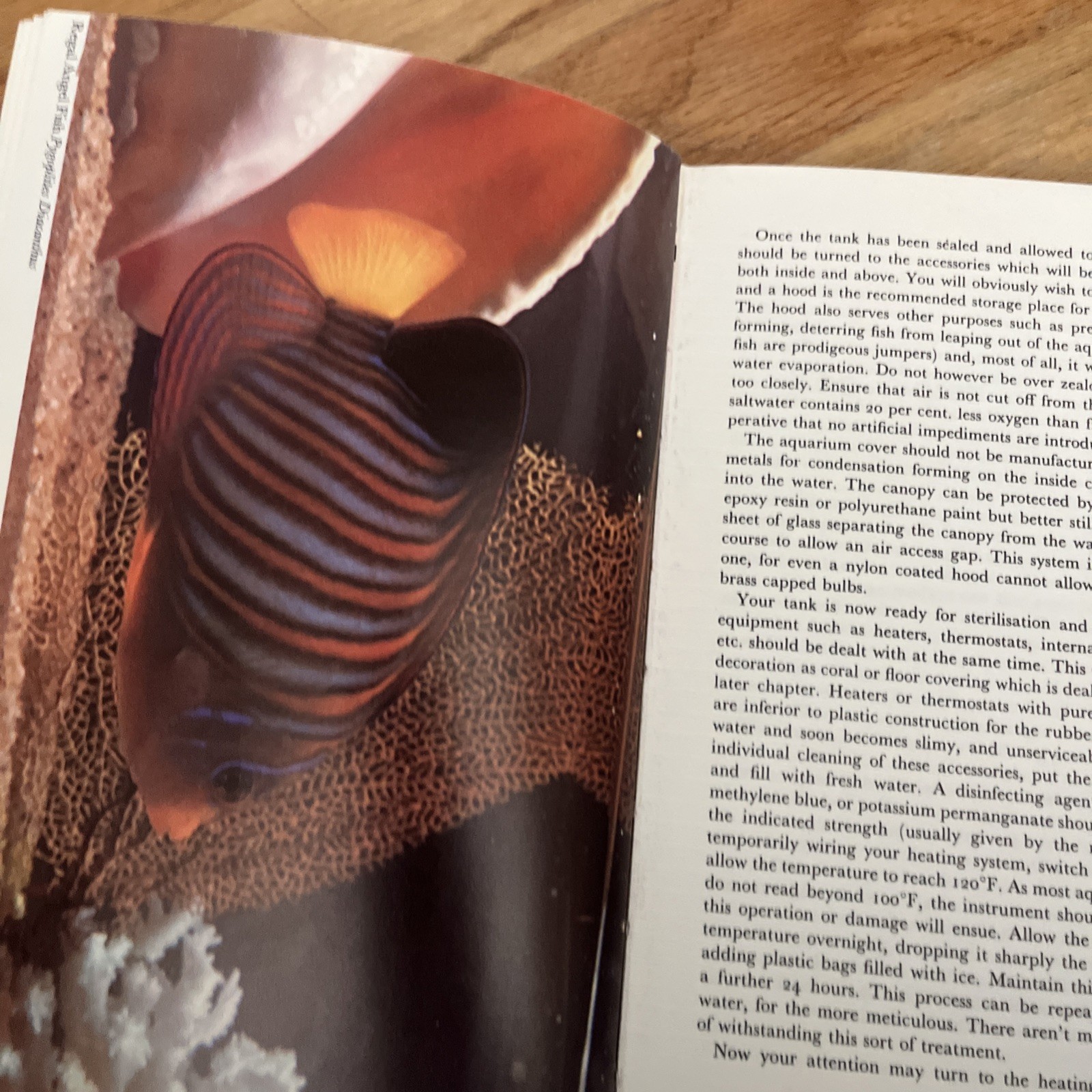 Natural History ,CORAL FISHES by T RAVENSDALE , 1967 , HC/DJ Book