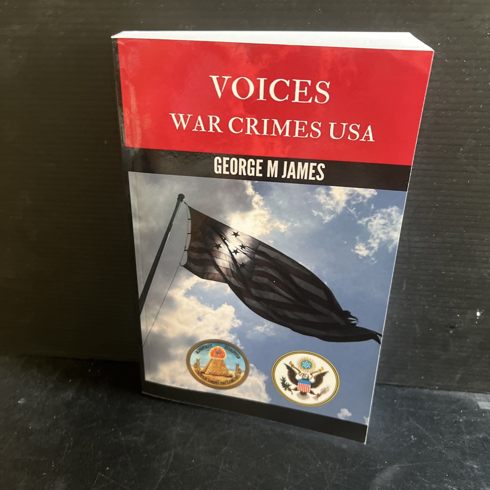1st Edition Voices War Crimes USA George M. James Trade PB 2019 Military History