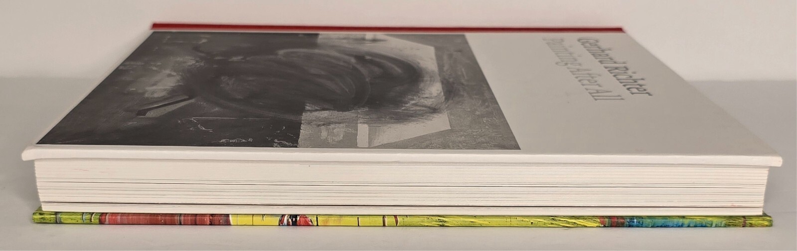 Painting After All Gerhard Richter (Hardcover)