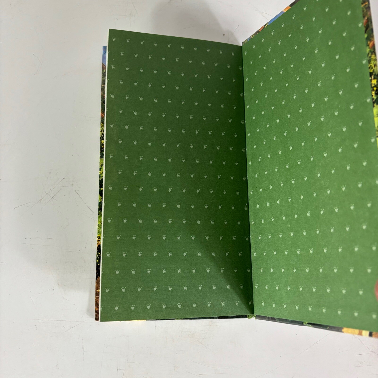 Greenhouse Gardening David Squire An Essential And Informative Guide Hardcover