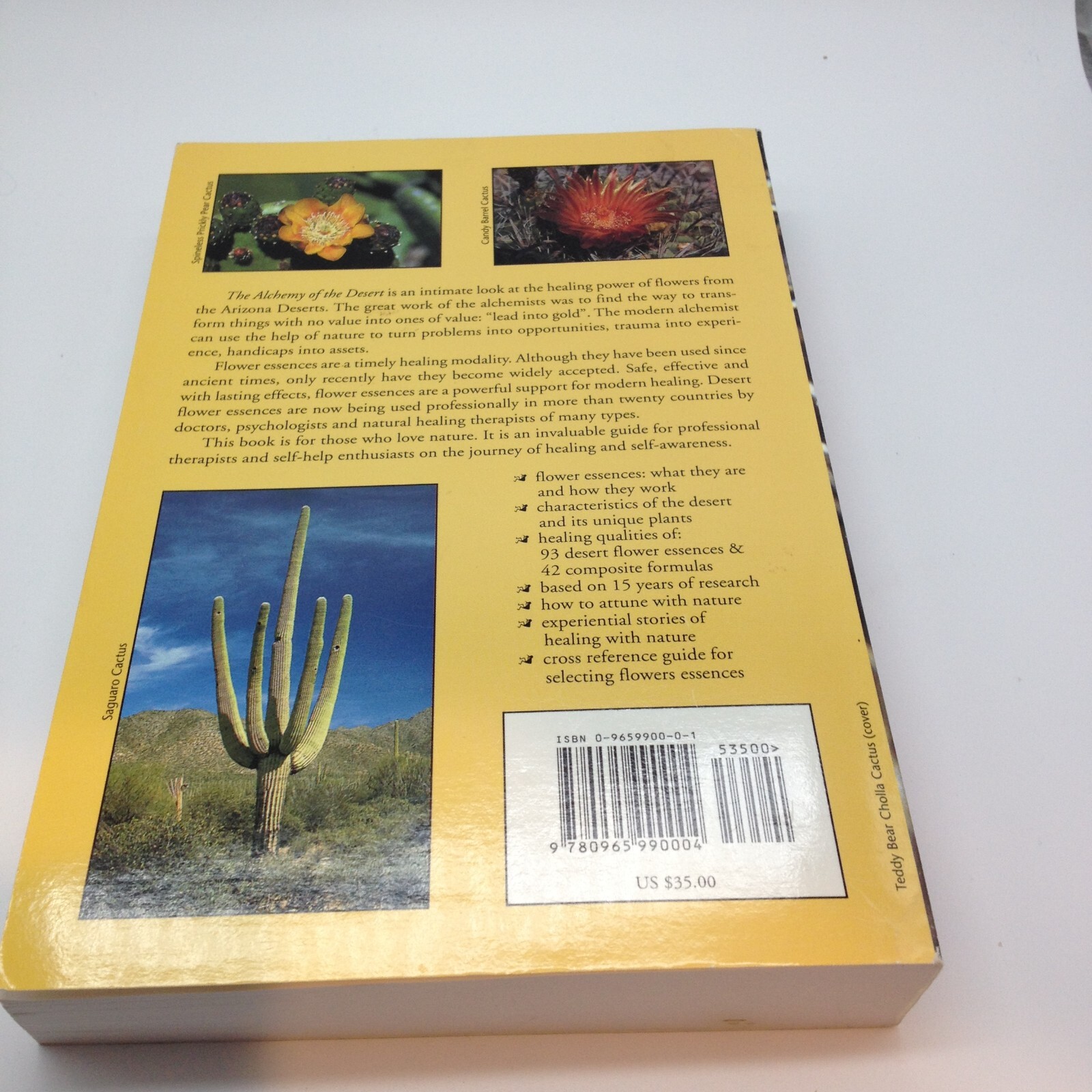 The Alchemy of the Desert : a Comprehensive Guide Desert Flower Esse – VERY GOOD