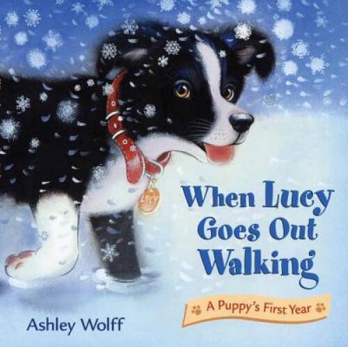 When Lucy Goes Out Walking: A Puppy’s First Year – Hardcover – GOOD