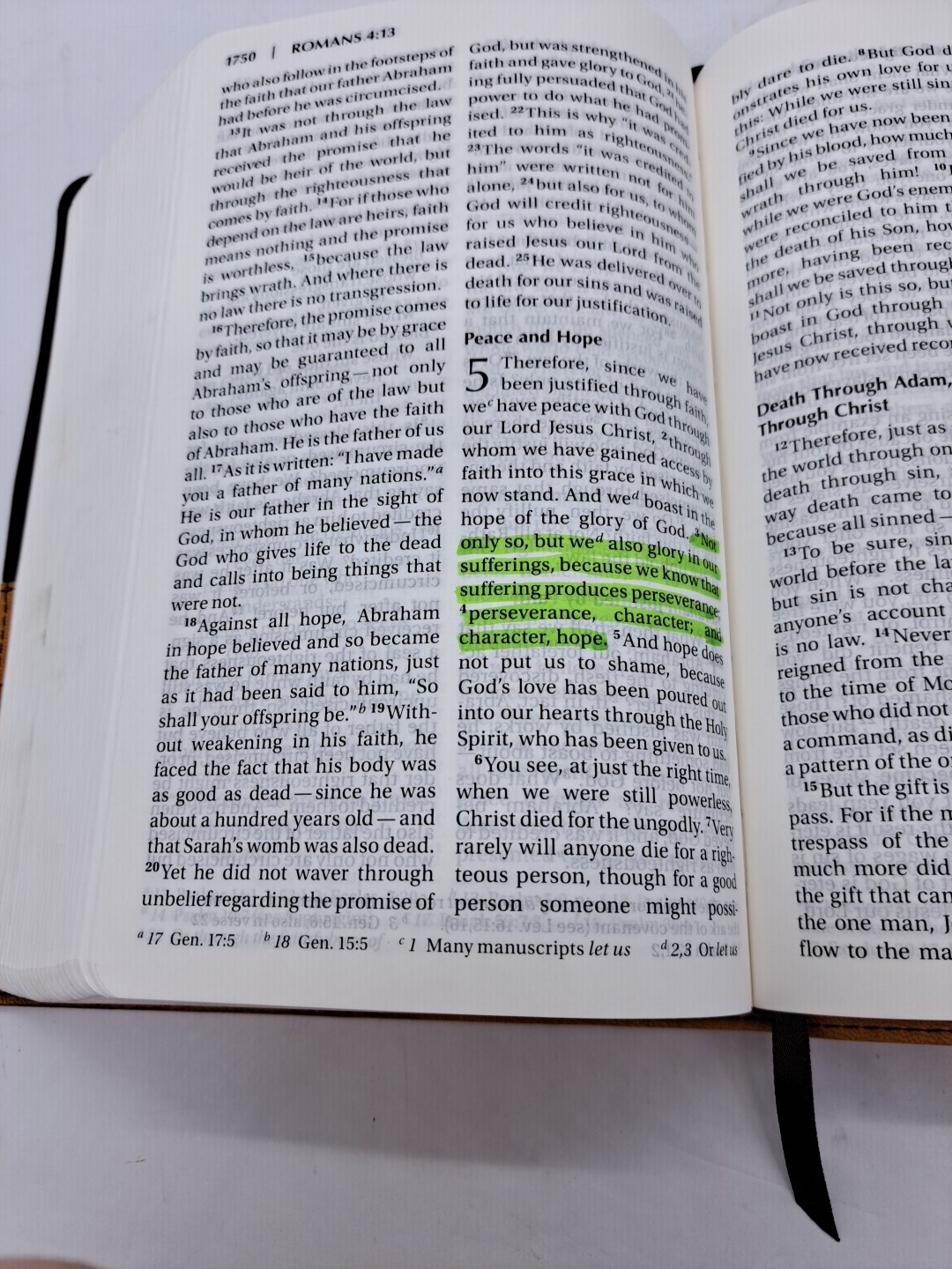 Zondervan Holy Bible NIV New International Version Large Print 2011