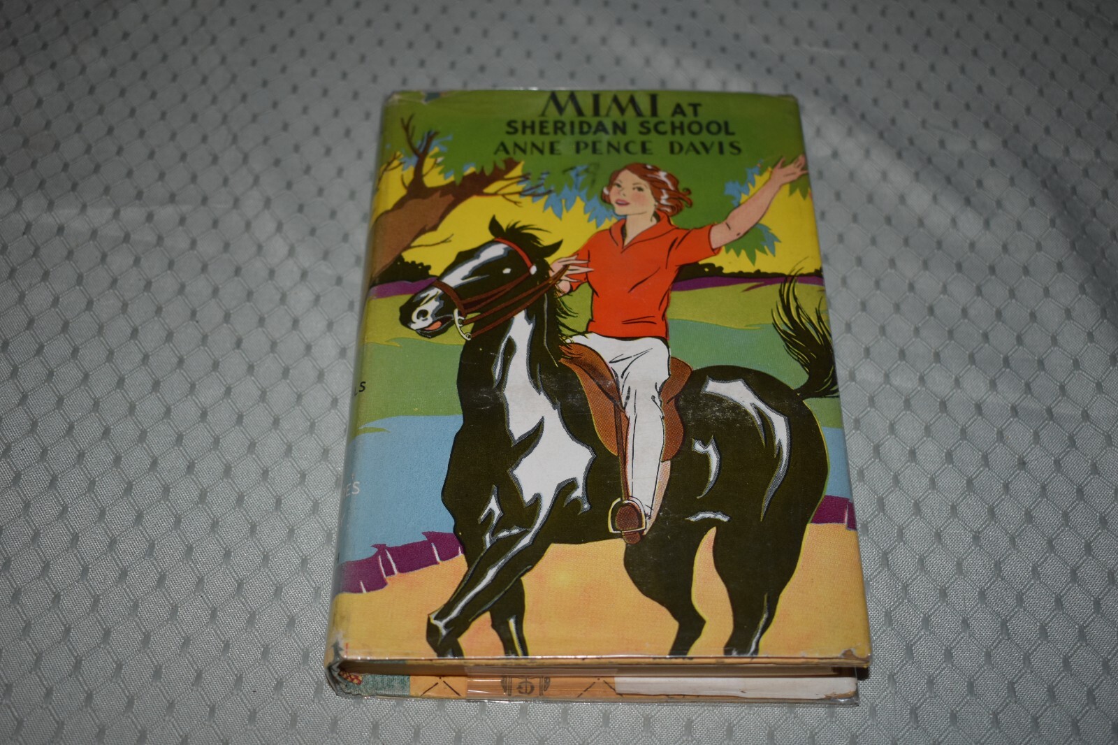 Mimi at Sheridan School by Anne Pence Davis (1st Edition/First Print, hardcover)