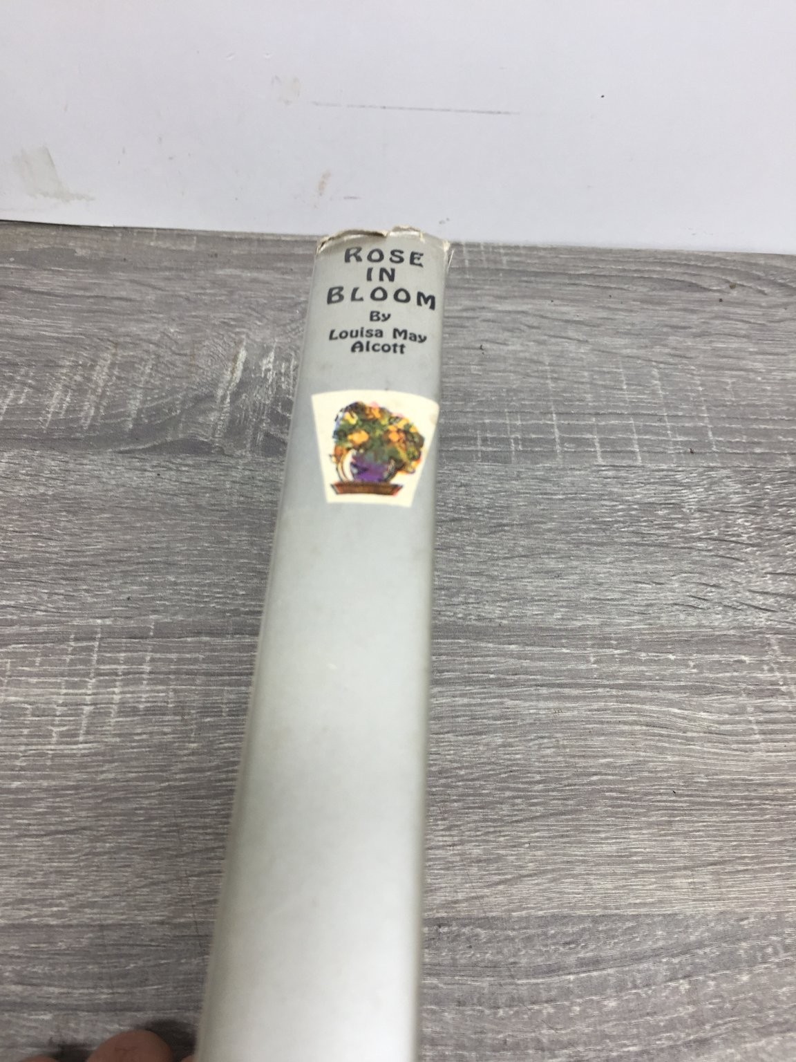 Rose in Bloom Louisa May Alcott 1927 Complete Authorized Edition Grosset Dunlap