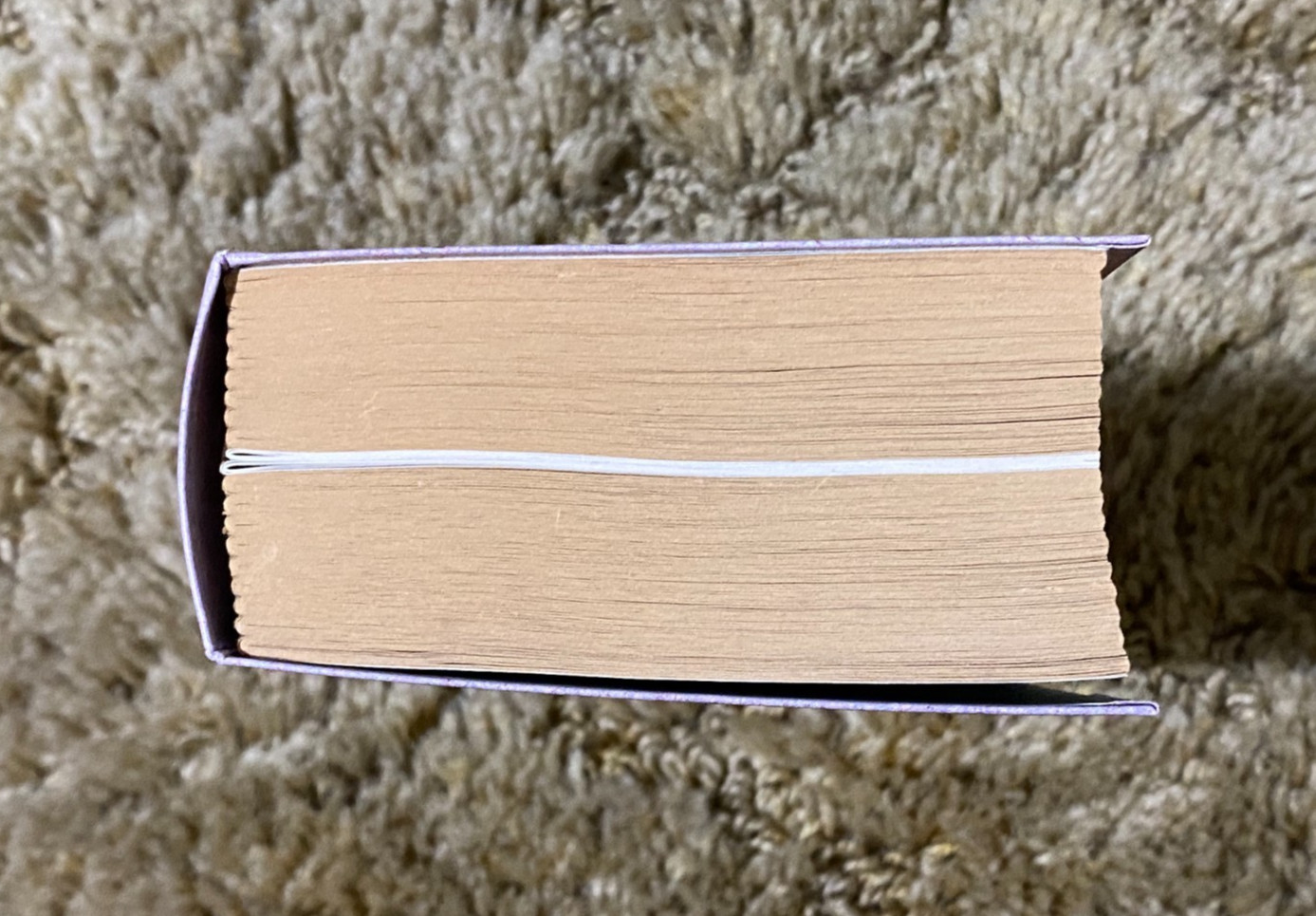 FIELDBOOK OF AMERICAN WILDFLOWERS HARDCOVER F SCHUYLER MATHEWS 2001 FACSIMILE ED