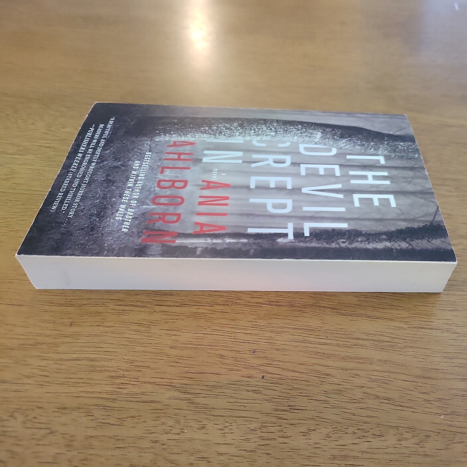 THE DEVIL CREPT IN – ANIA AHLBORN – Gallery Books Trade Paperback 2017