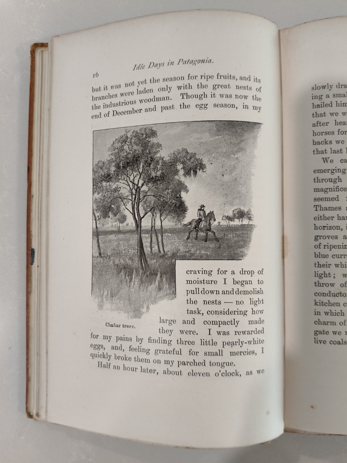 Idle Days in Patagonia W. H. Hudson 1893 1st Edition True First Chapman & Hall