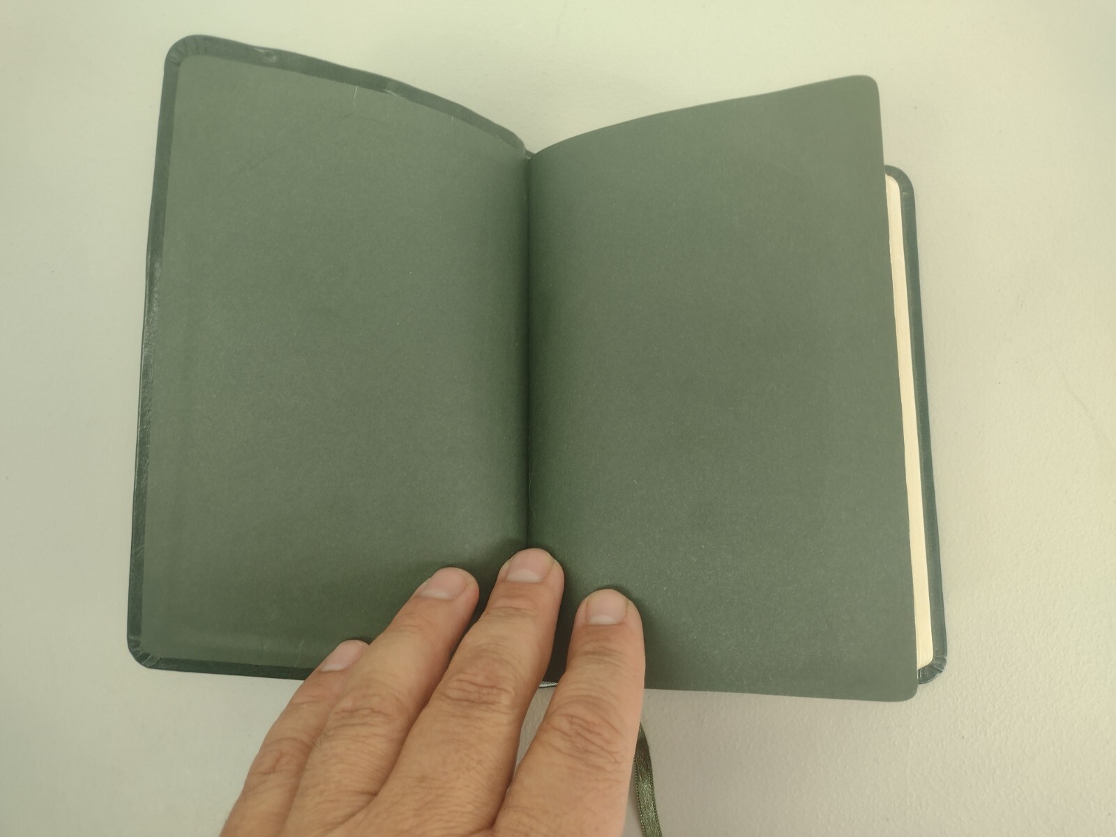 HCSB Soldier’s BIBLE 2012 Green Simulated Leather Holman