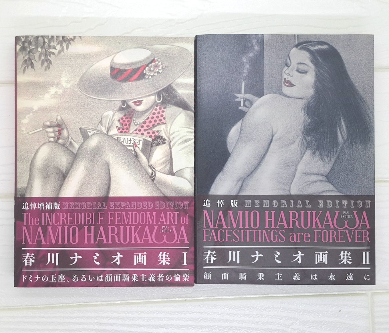 Namio Harukawa Art Book I & II Memorial Edition Set Illustration Book Japan
