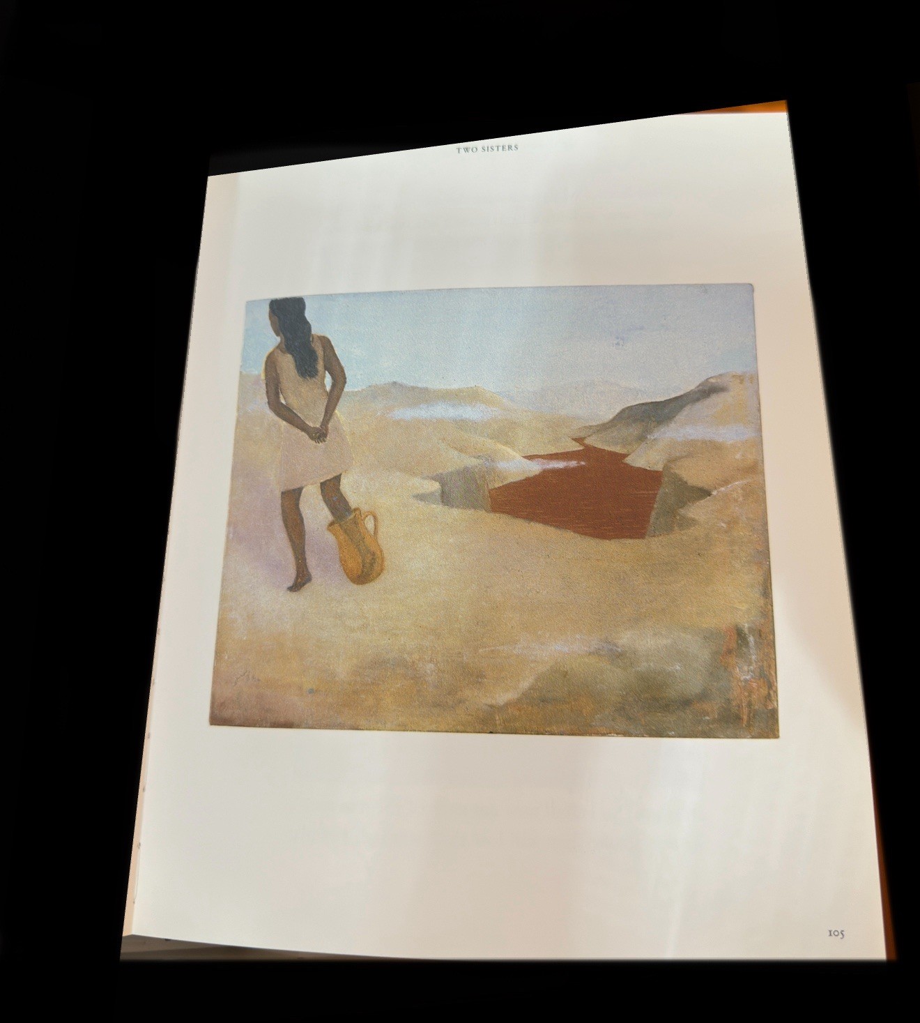 Francis Alÿs The Prophet and the Fly Text by Catherine Lampert