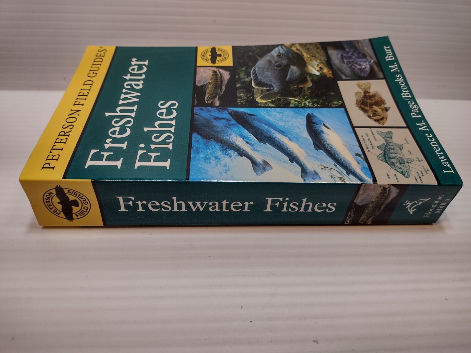 Peterson Field Guides: Freshwater Fishes by Lawrence Page & Brooks Burr