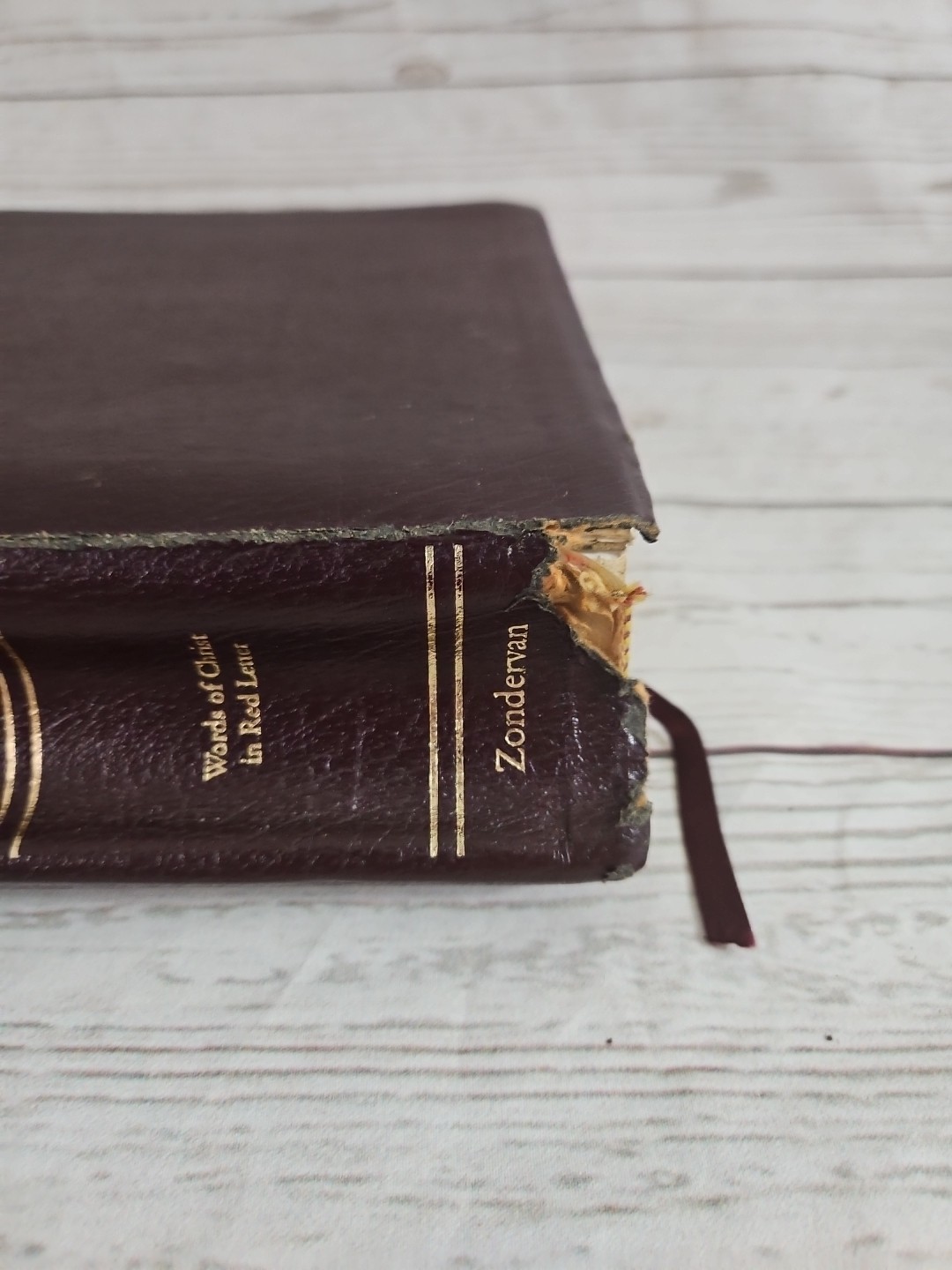 The NIV Study Bible 10th Anniversary Edition Bonded Leather Burgundy 2000