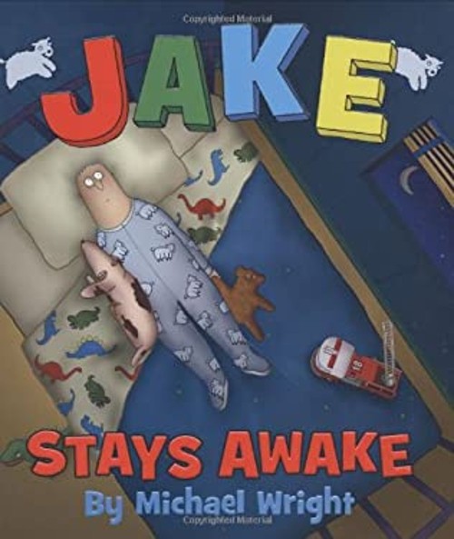Jake Stays Awake Hardcover Michael Wright