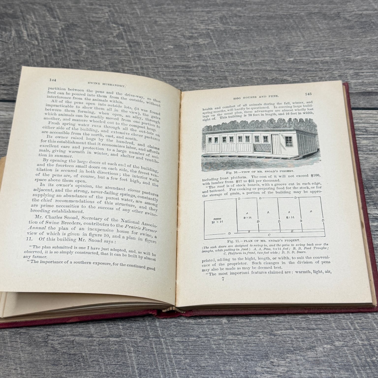 Swine Husbandry F.D. Coburn 1903 Revised Enlarged Illustrated Orange Judd Co.