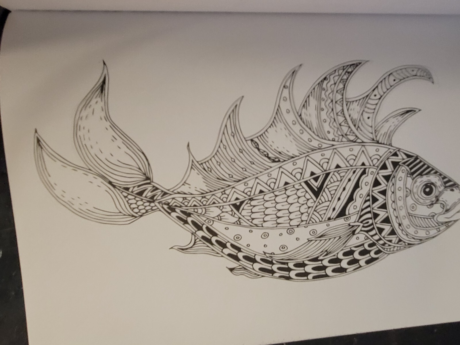 MAJESTIC CREATURES Vol. 18 Adult Coloring Book With 47 Prints Ready To Frame!
