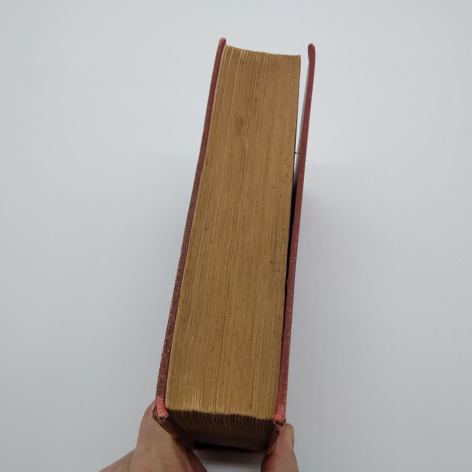 MADELINE PAYNE, THE DETECTIVES DAUGHTER by Lawrence L. Lynch 1885 HC Rare