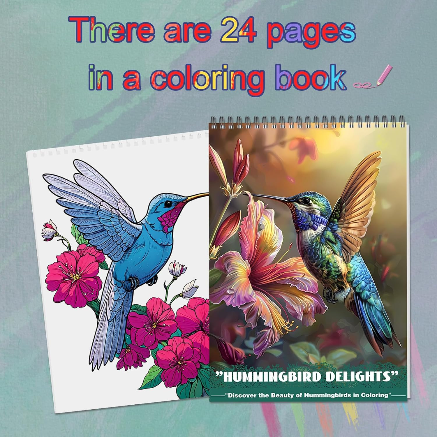 Humming Bird Adult Coloring Book Spiral Bound Mindfulness Adult Coloring Book…
