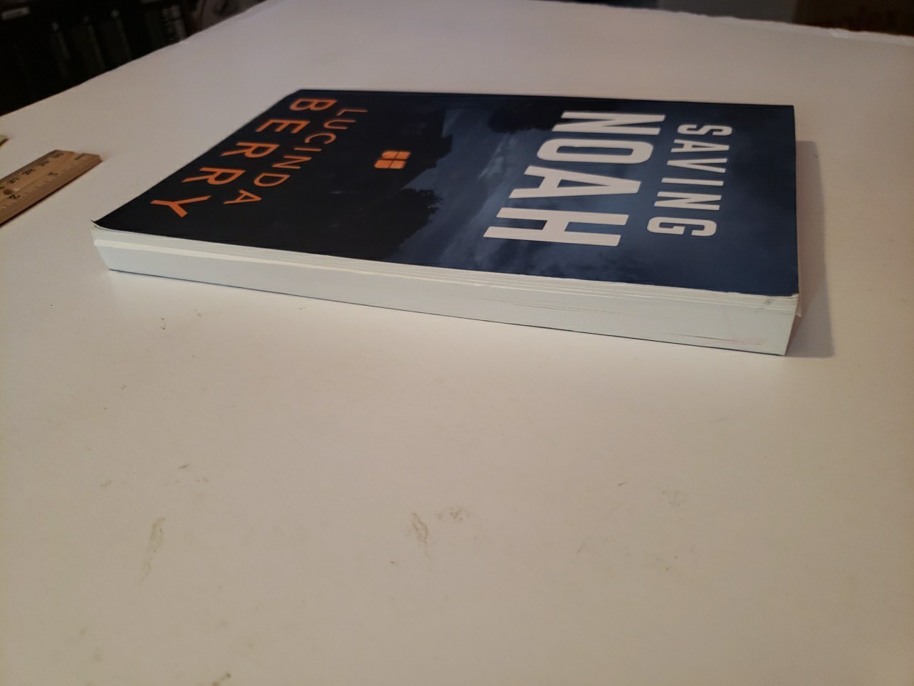 Saving Noah Paperback Book 2017 Lucinda Berry