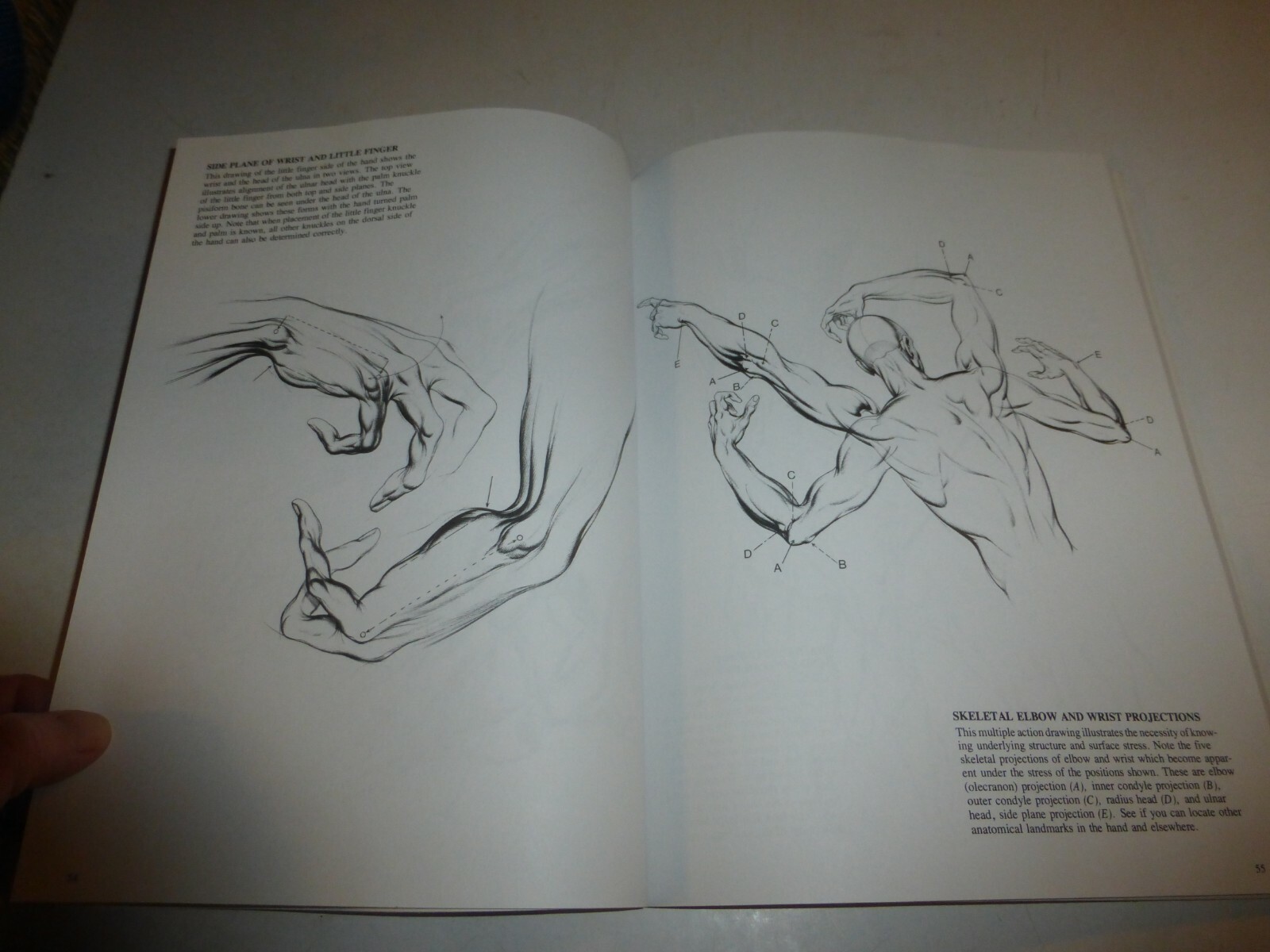 Drawing Dynamic Hands by Burne Hogarth 9780823013685 (Paperback, 1988) 122