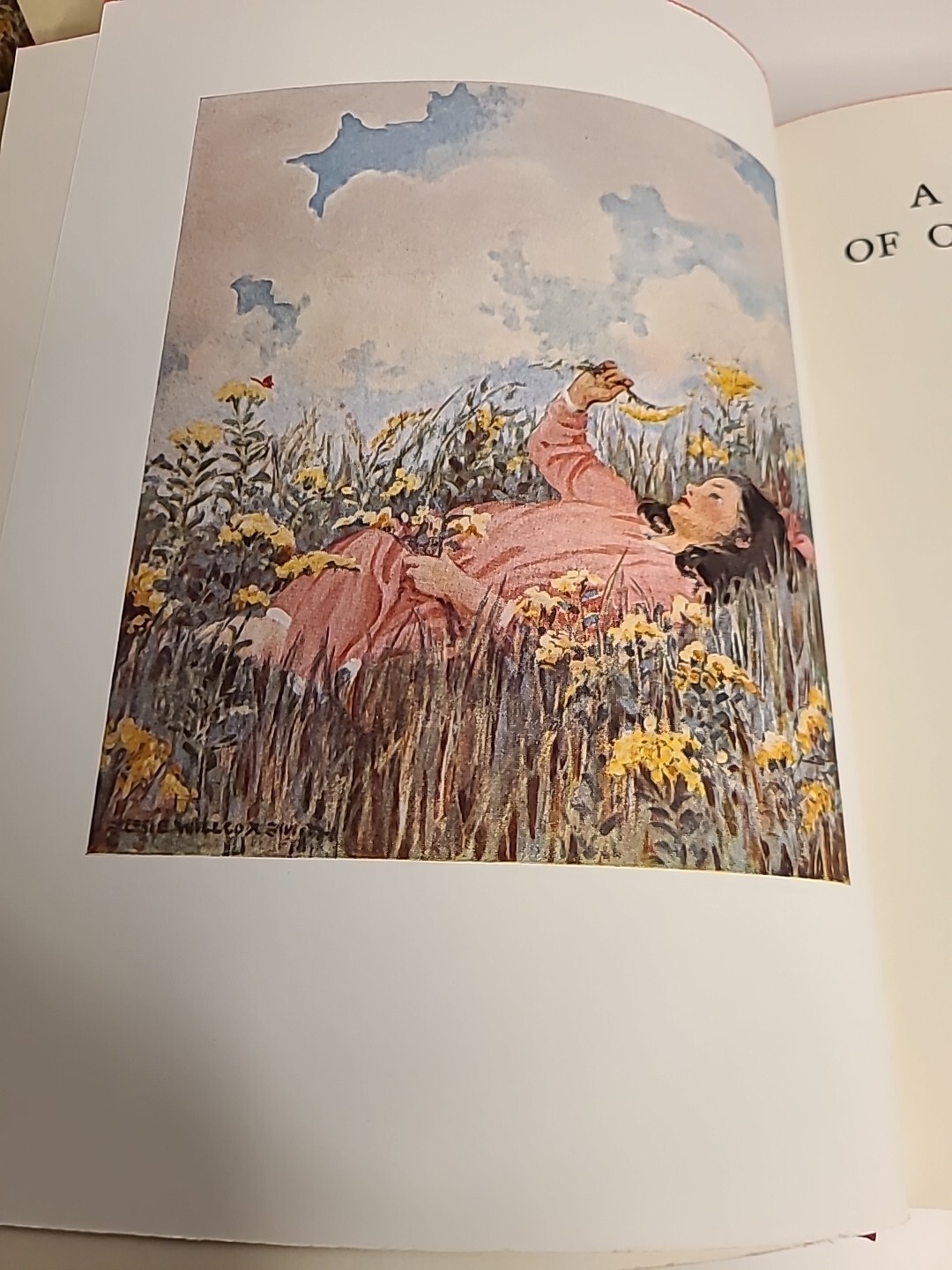 A Child’s Book Of Country Stories by Ada M. Skinner And Eleanor L. Skinner 1935